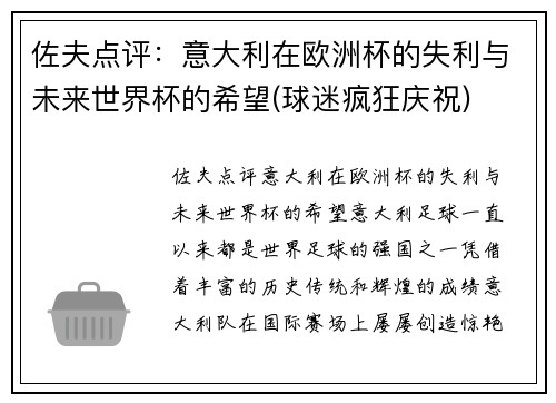 佐夫点评：意大利在欧洲杯的失利与未来世界杯的希望(球迷疯狂庆祝)